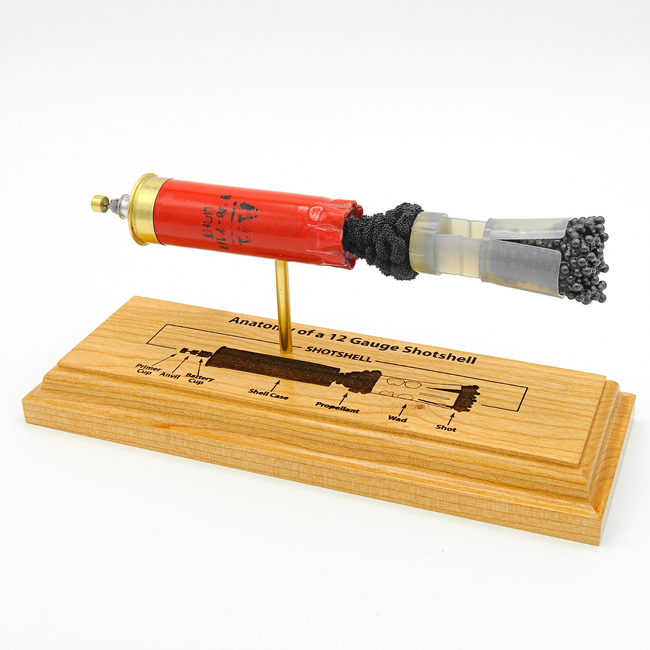 Ballistics Display Anatomy Engraved Cartridge Display Models | Labeled Ammo Anatomy Series ...