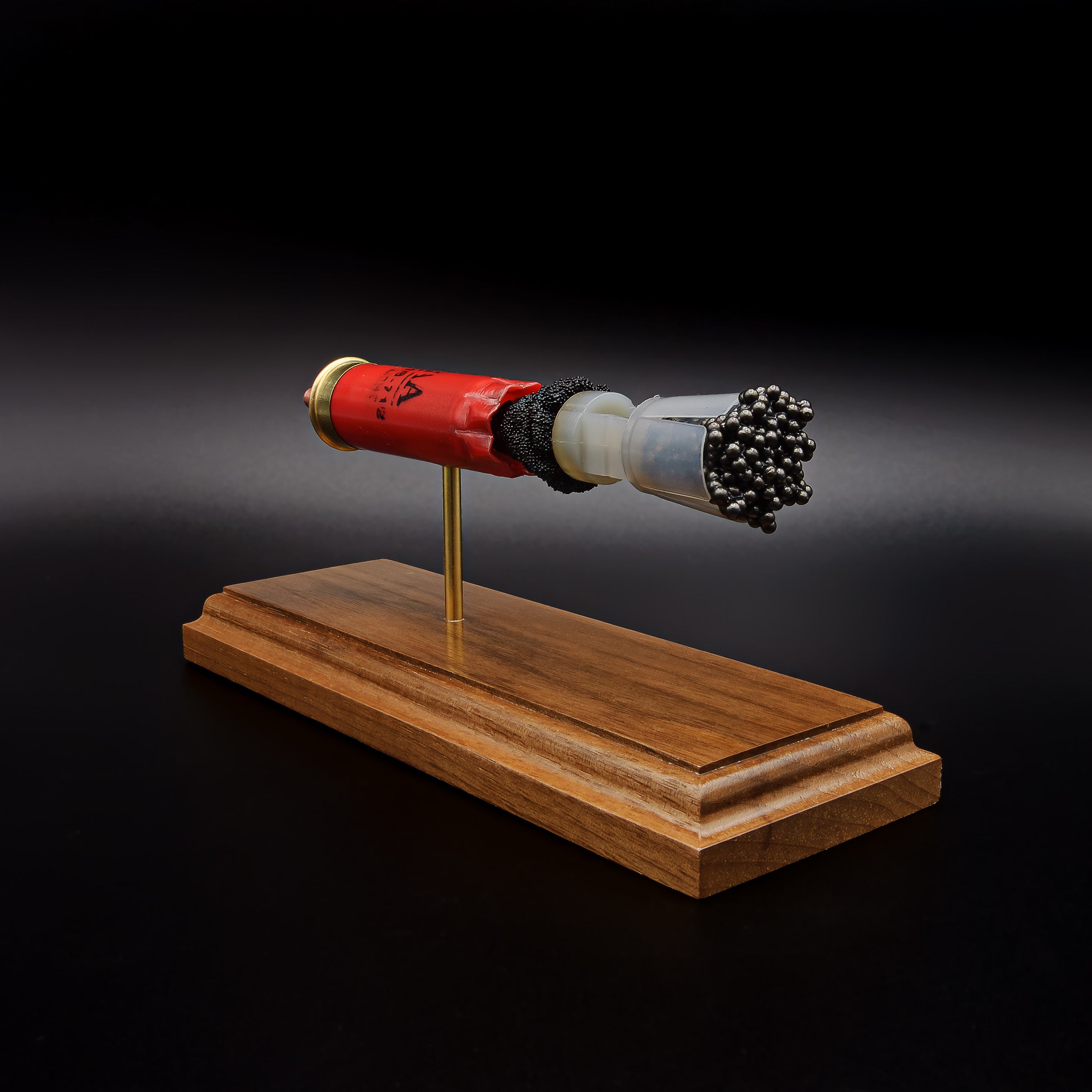 Right-front angle of an inert Winchester AA 12 Gauge 7.5 Shot shotgun shell display highlighting the transparent wad, #7.5 lead shot payload, exposed simulated powder, expanded primer assembly, and handcrafted walnut wood base.