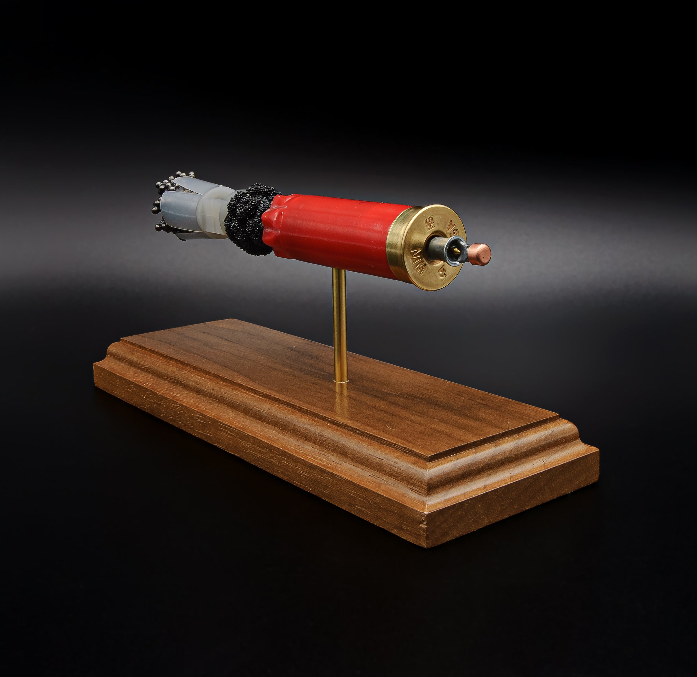 Rear-right perspective of a handcrafted Winchester AA 12 Gauge 7.5 Shot display featuring the expanded primer cup, anvil, battery cup, red hull, exposed simulated powder, wad, and #7.5 lead shot payload mounted on a walnut wood base.