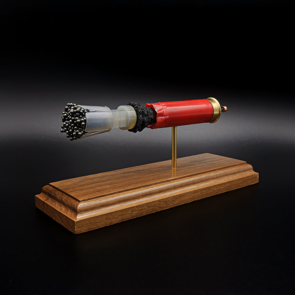 Front-left three-quarter view of an inert Winchester AA 12 Gauge 7.5 Shot display highlighting the wad containing the #7.5 lead shot payload, exposed simulated powder, expanded primer assembly including the primer cup, anvil, and battery cup, and walnut presentation base.