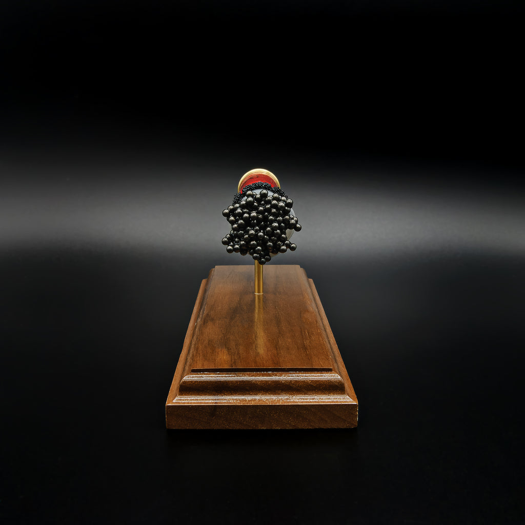 End-on front view of a handcrafted exploded Winchester AA 12 Gauge 7.5 Shot display focusing on the #7.5 lead shot payload, transparent wad, exposed simulated powder, red hull, expanded primer cup, anvil, battery cup, and walnut wood base.