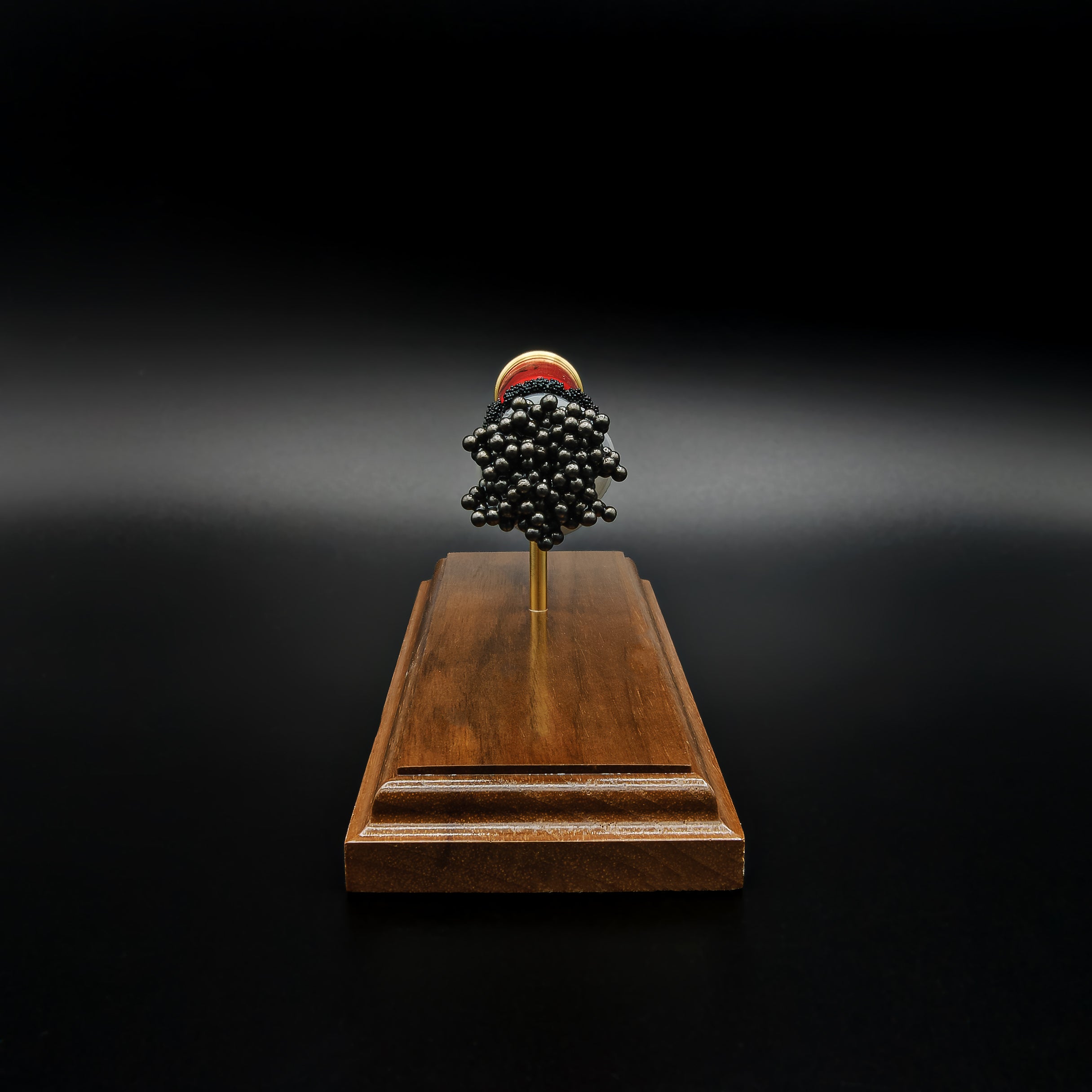 End-on front view of a handcrafted exploded Winchester AA 12 Gauge 7.5 Shot display focusing on the #7.5 lead shot payload, transparent wad, exposed simulated powder, red hull, expanded primer cup, anvil, battery cup, and walnut wood base.