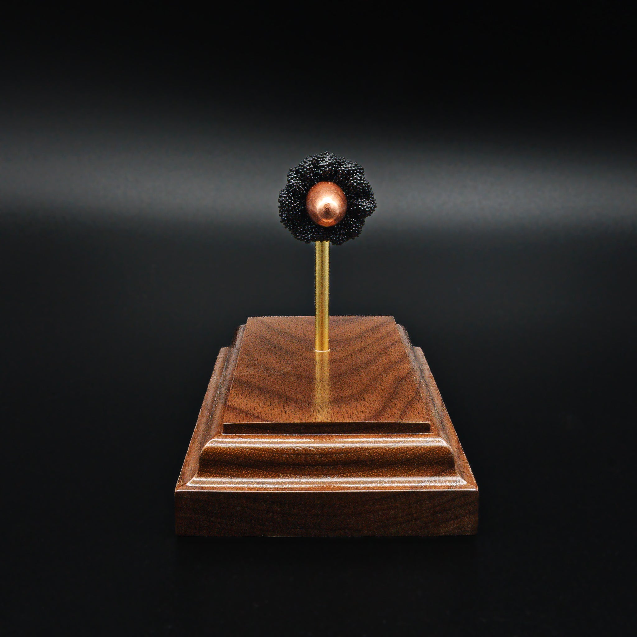 Head-on view of 30 Carbine FMJ bullet with powder cluster in exploded display