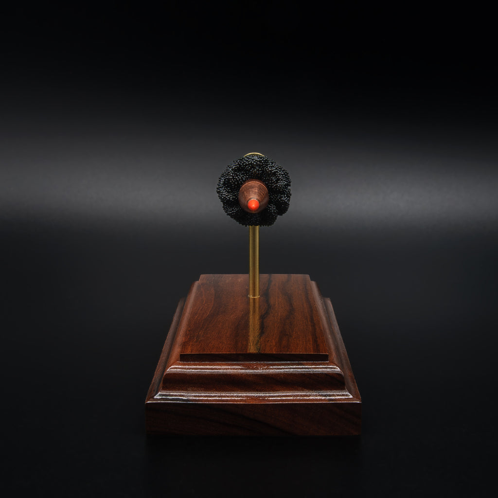 bullet end view of a 7.62x39 exploded cartridge model arranged in a straight line on a rosewood base