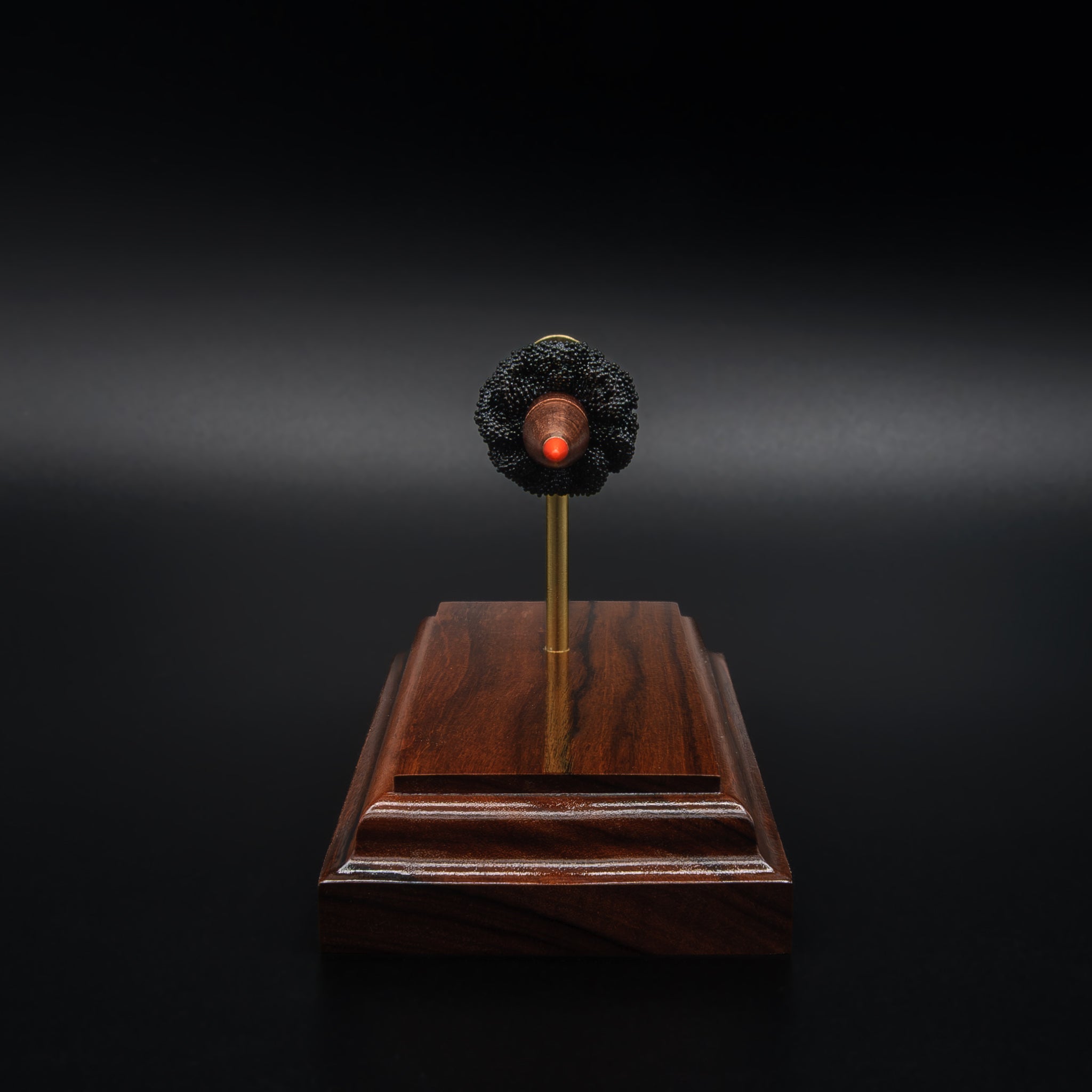 bullet end view of a 7.62x39 exploded cartridge model arranged in a straight line on a rosewood base