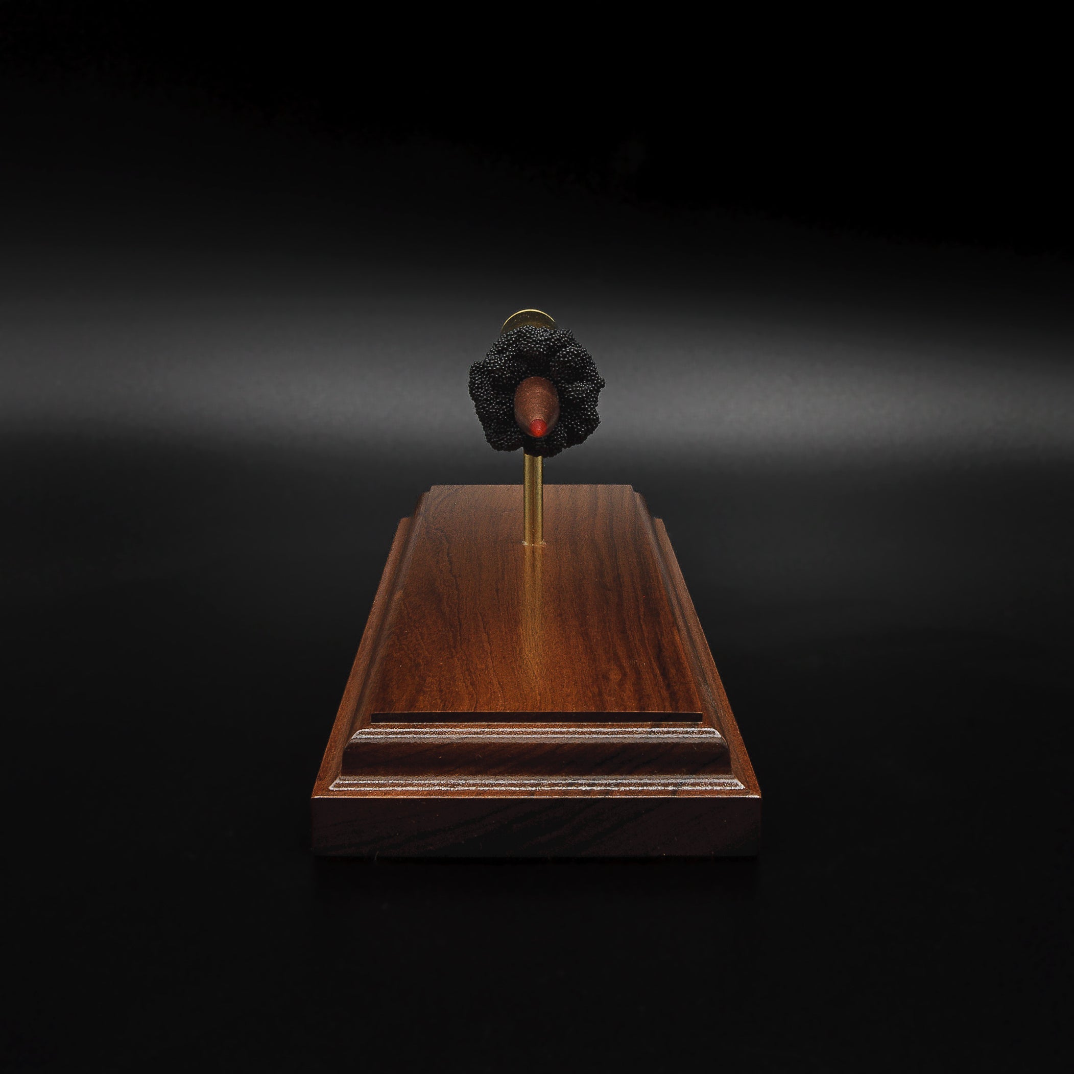 Front view of a 7mm PRC Hornady 180gr ELD-M expanded cartridge display on a Bolivian Rosewood base with visible primer cup, anvil, cartridge case, simulated powder, and projectile.