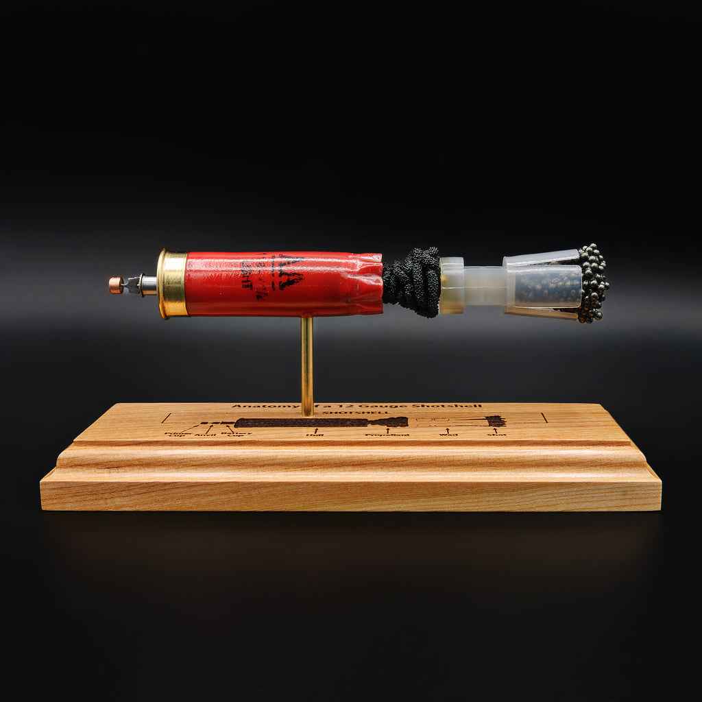 Shotshell Display 12 Gauge Winchester AA Engraved Anatomy Display Model – Ballistic Concepts