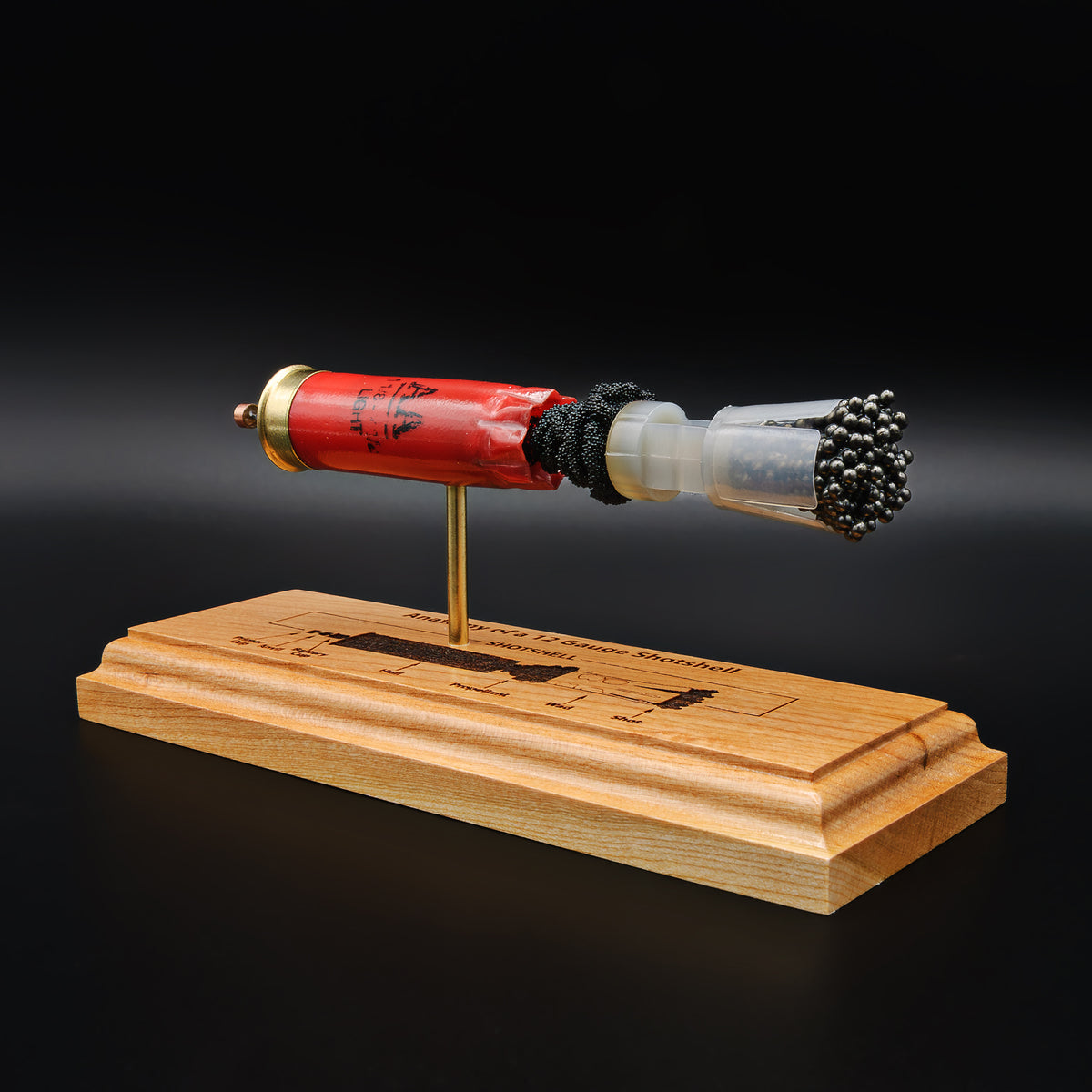 Shotshell Display 12 Gauge Winchester AA Engraved Anatomy Display Model – Ballistic Concepts