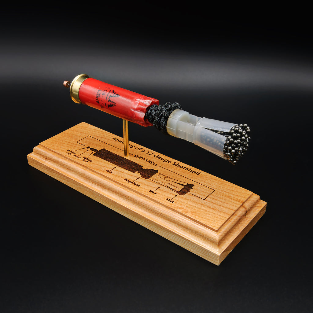 Shotshell Display 12 Gauge Winchester AA Engraved Anatomy Display Model – Ballistic Concepts