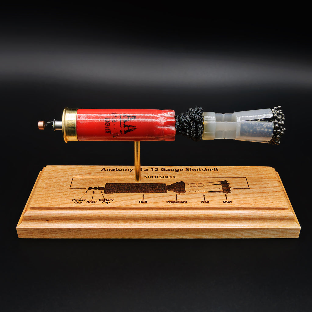 Side profile of 12 gauge shotshell cutaway display showing primer, powder, wad, and shot