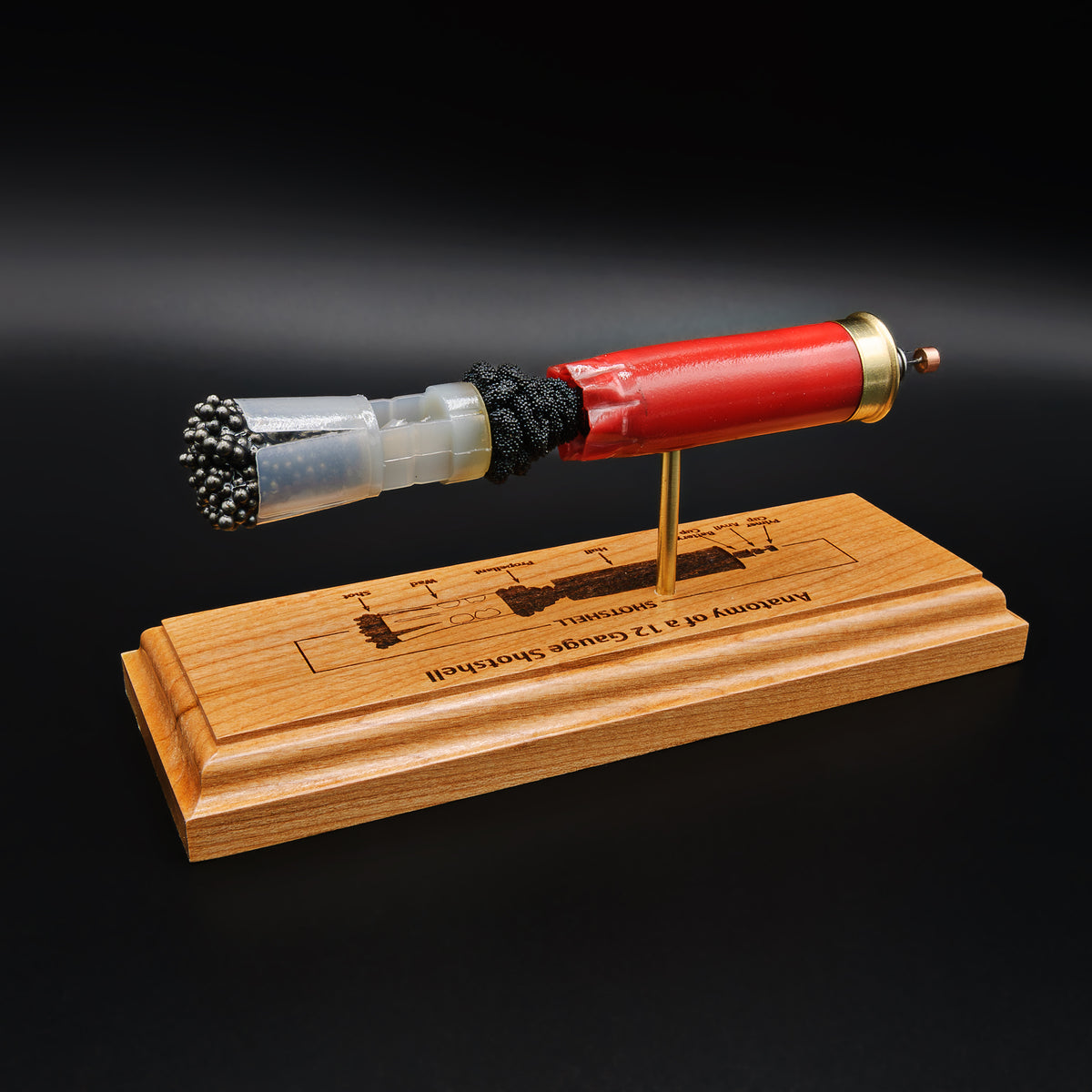 Shotshell Display 12 Gauge Winchester AA Engraved Anatomy Display Model – Ballistic Concepts