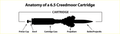 CUSTOM MODEL - ANATOMY ENGRAVED -- Large Base - 6.5 Creedmoor 143gr ELD-X on Base:C - Cherry