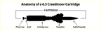 CUSTOM MODEL - ANATOMY ENGRAVED -- Large Base - 6.5 Creedmoor 143gr ELD-X on Base:C - Cherry