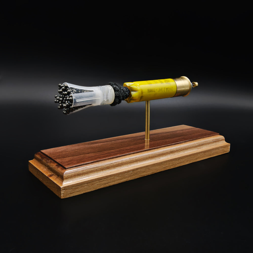 20GA - Remington Express #7.5 Shot - Exploded Shotshell Anatomy Model