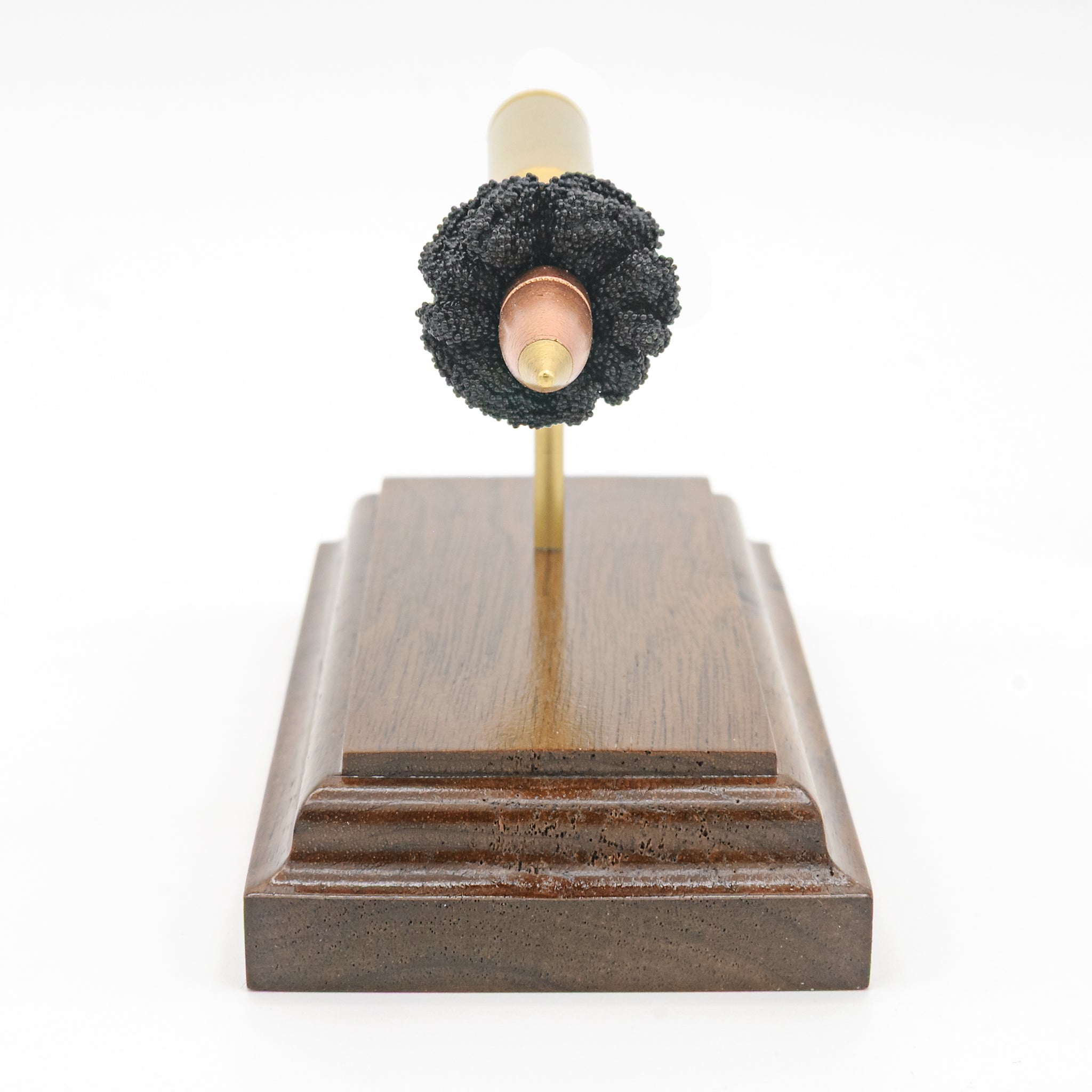 30-06 Springfield - Exploded Cartridge Anatomy Model
