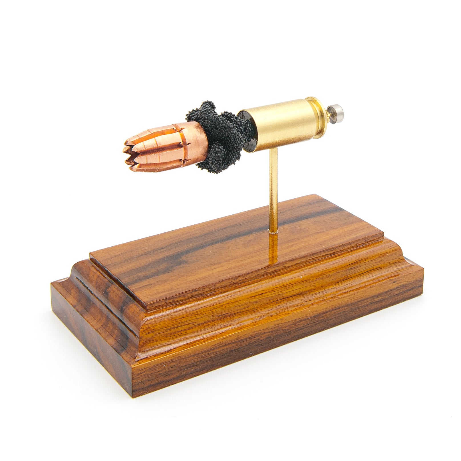 Detailed ammunition anatomy model for firearm collectors