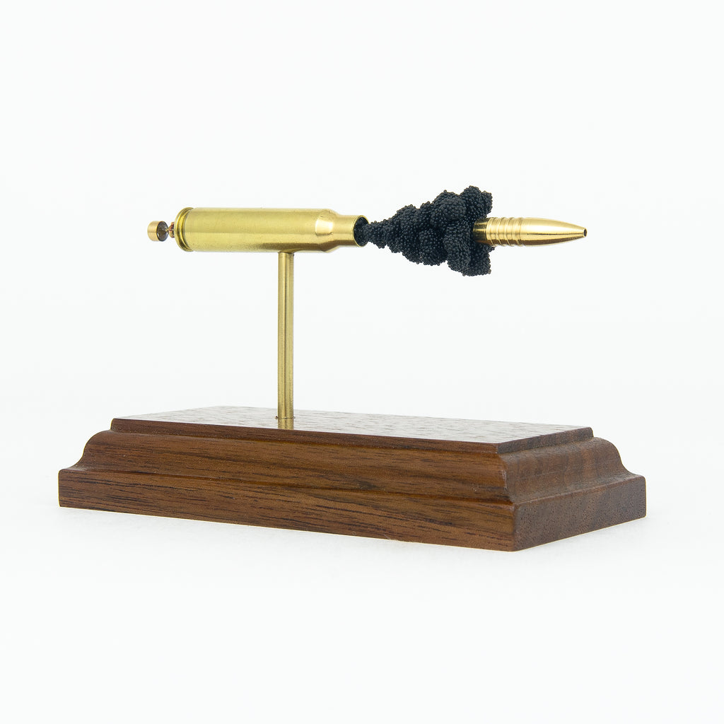 223 Remington - Pick Your Bullet - Exploded Cartridge Anatomy Model (Pick Your Projo)