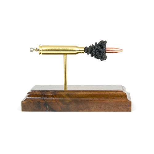 Exploded view of .223 Remington cartridge anatomy with multiple projectile choices