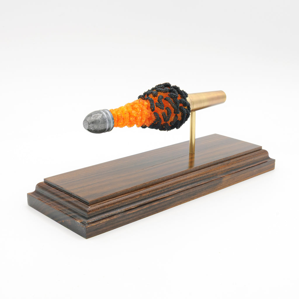 READY TO SHIP - Rare .54 Burnside FirePowder Expanded Cartridge Display - Civil War Burnside Carbine Cartridge on Bolivian Rosewood Base