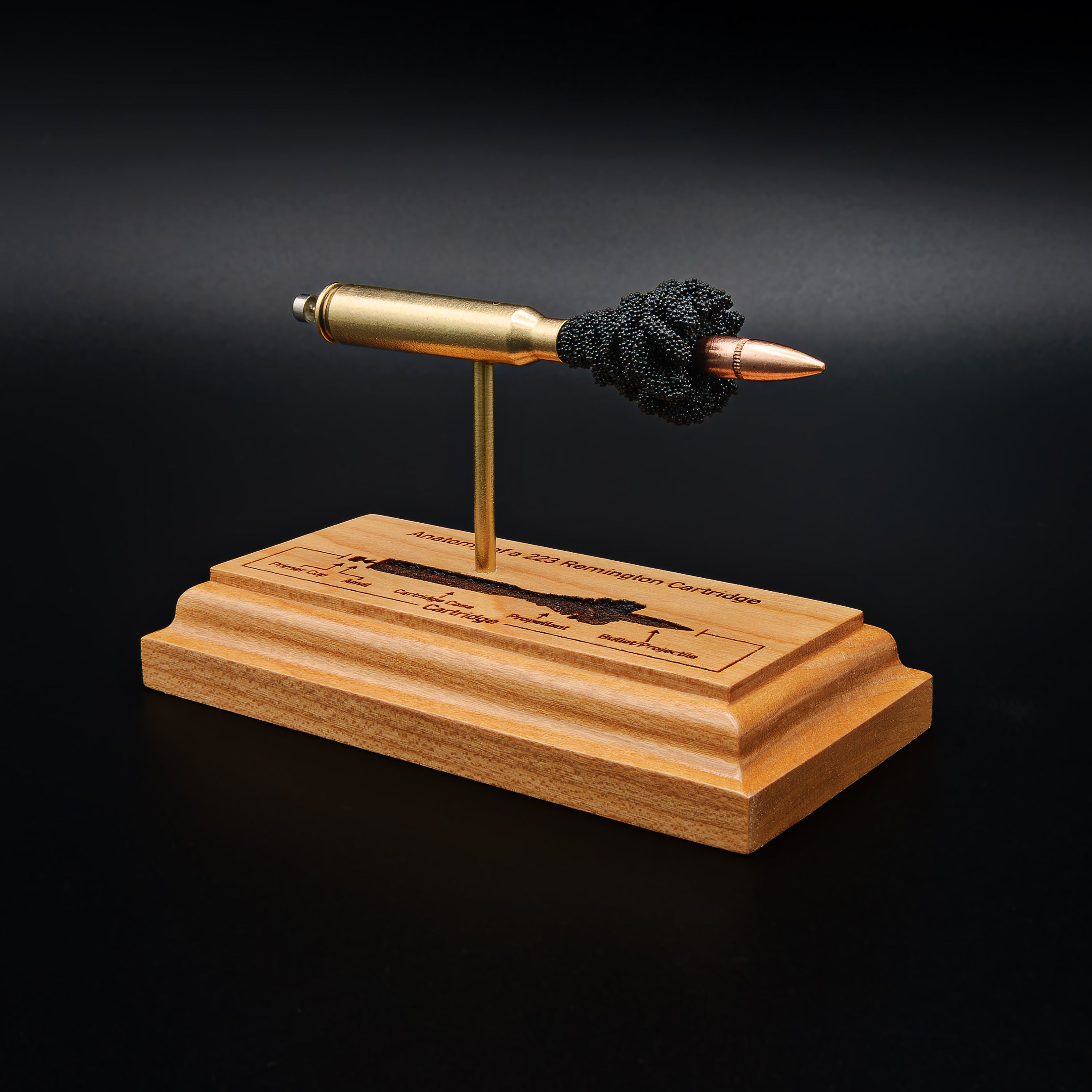 Angled view of a .223 Remington FMJ cartridge anatomy display showing the cartridge case head, primer cup, anvil, simulated powder, and projectile on a cherry wood base with an engraved anatomy diagram.