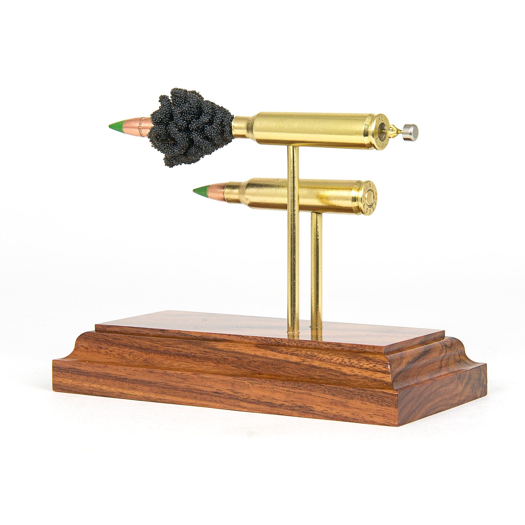 Expanded 5.56x45 dual cartridge educational ammunition display