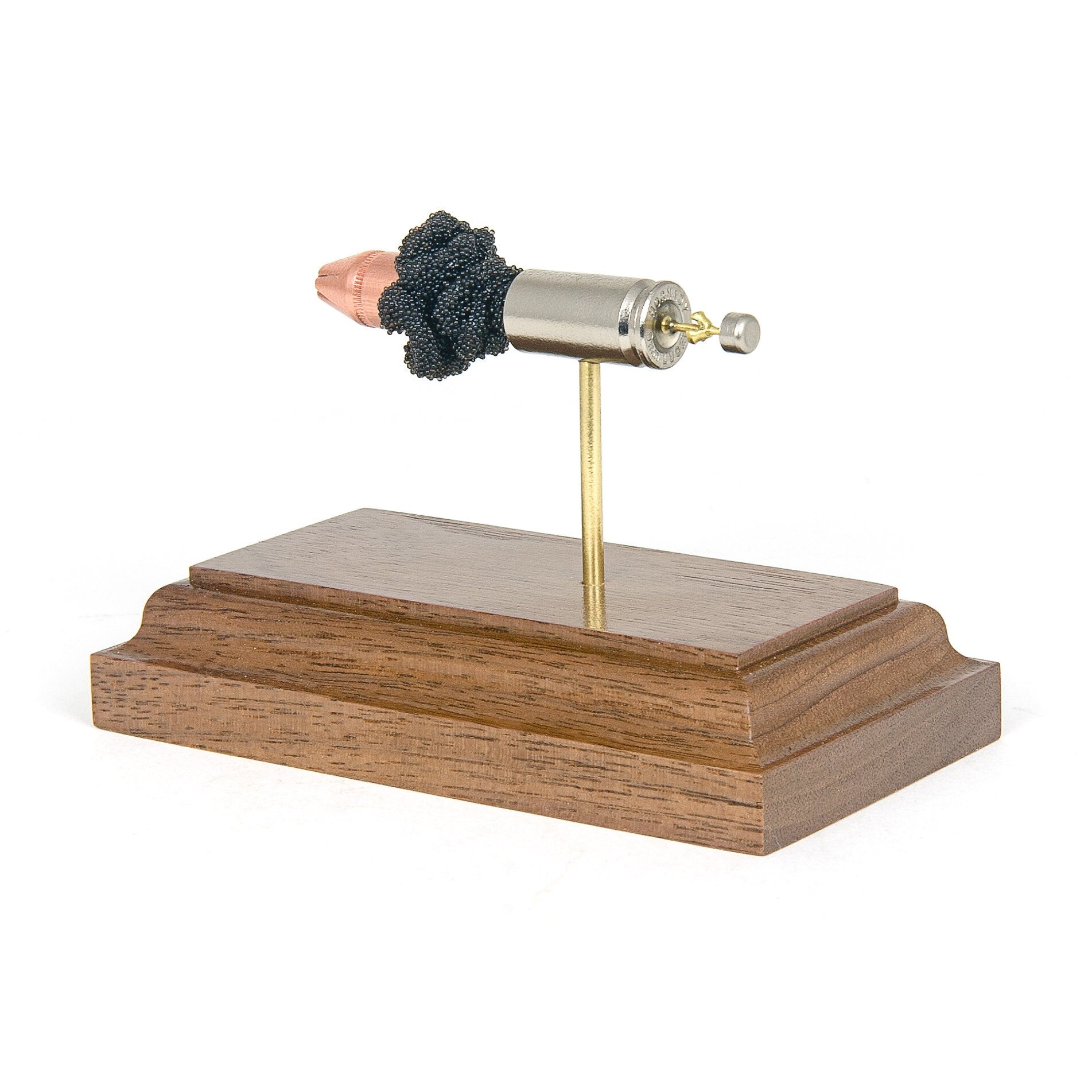 9mm 115 grain FTX sectional training display brass case