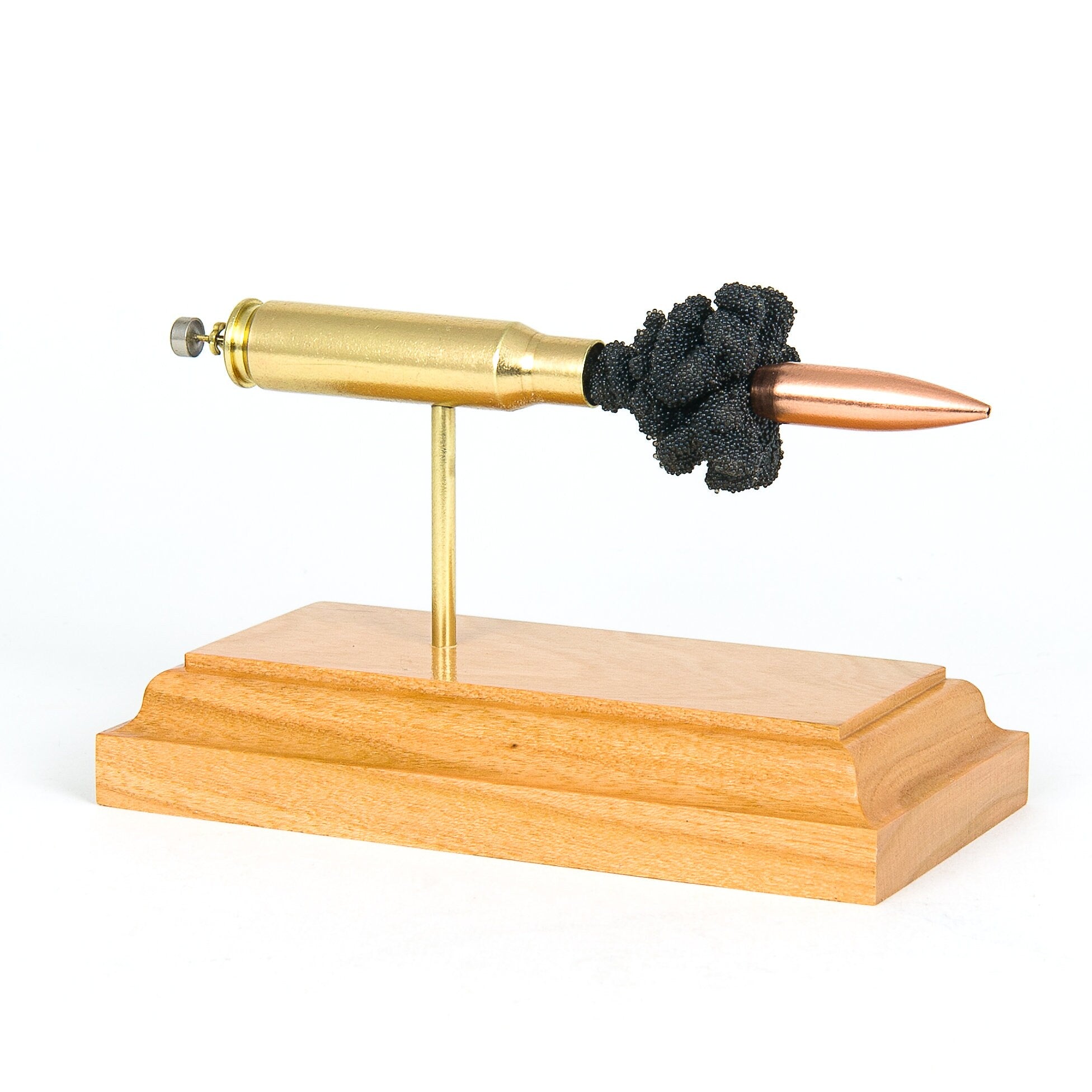 Expanded 308 Win 7.62x51mm cartridge display on hardwood base