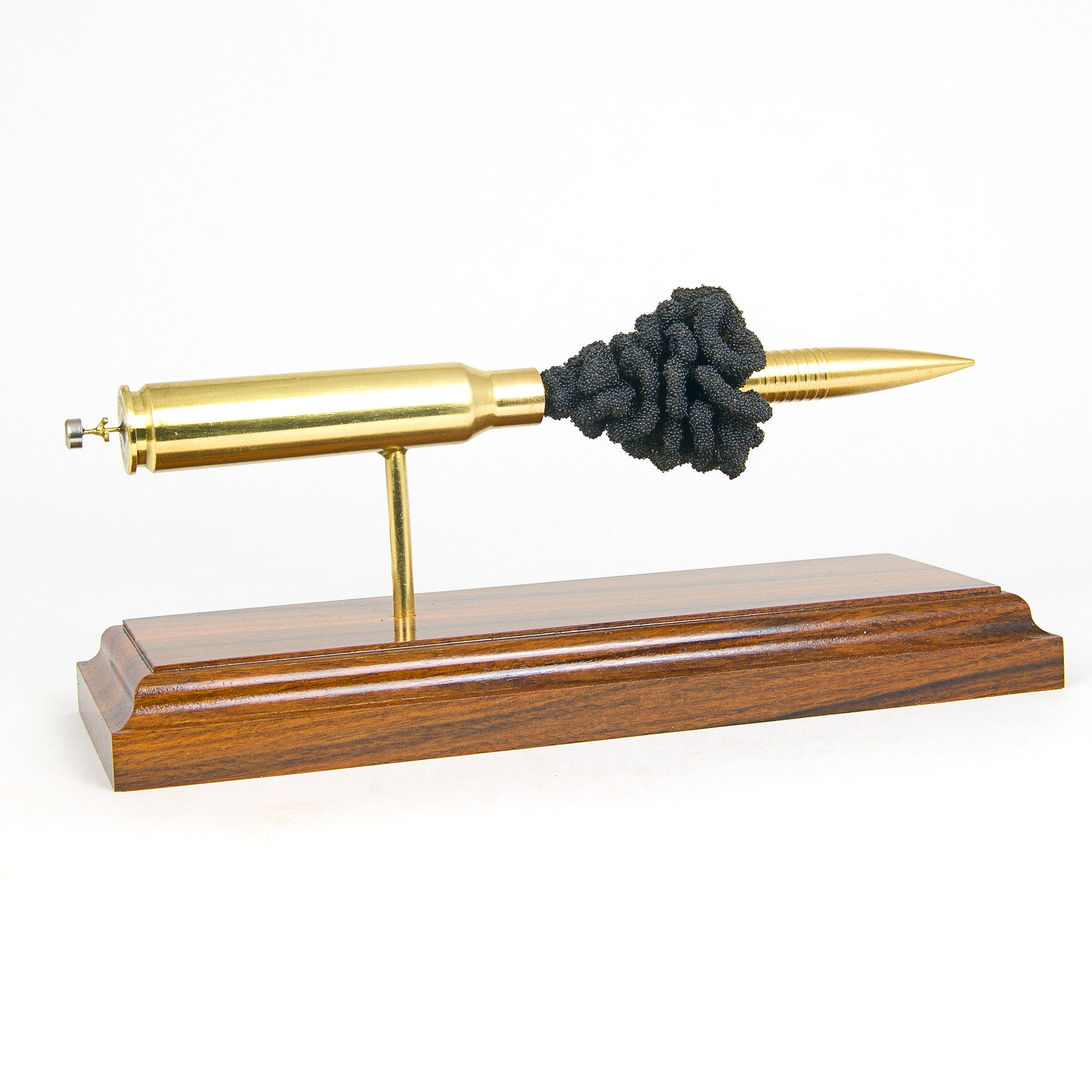 large long-range cartridge anatomy model