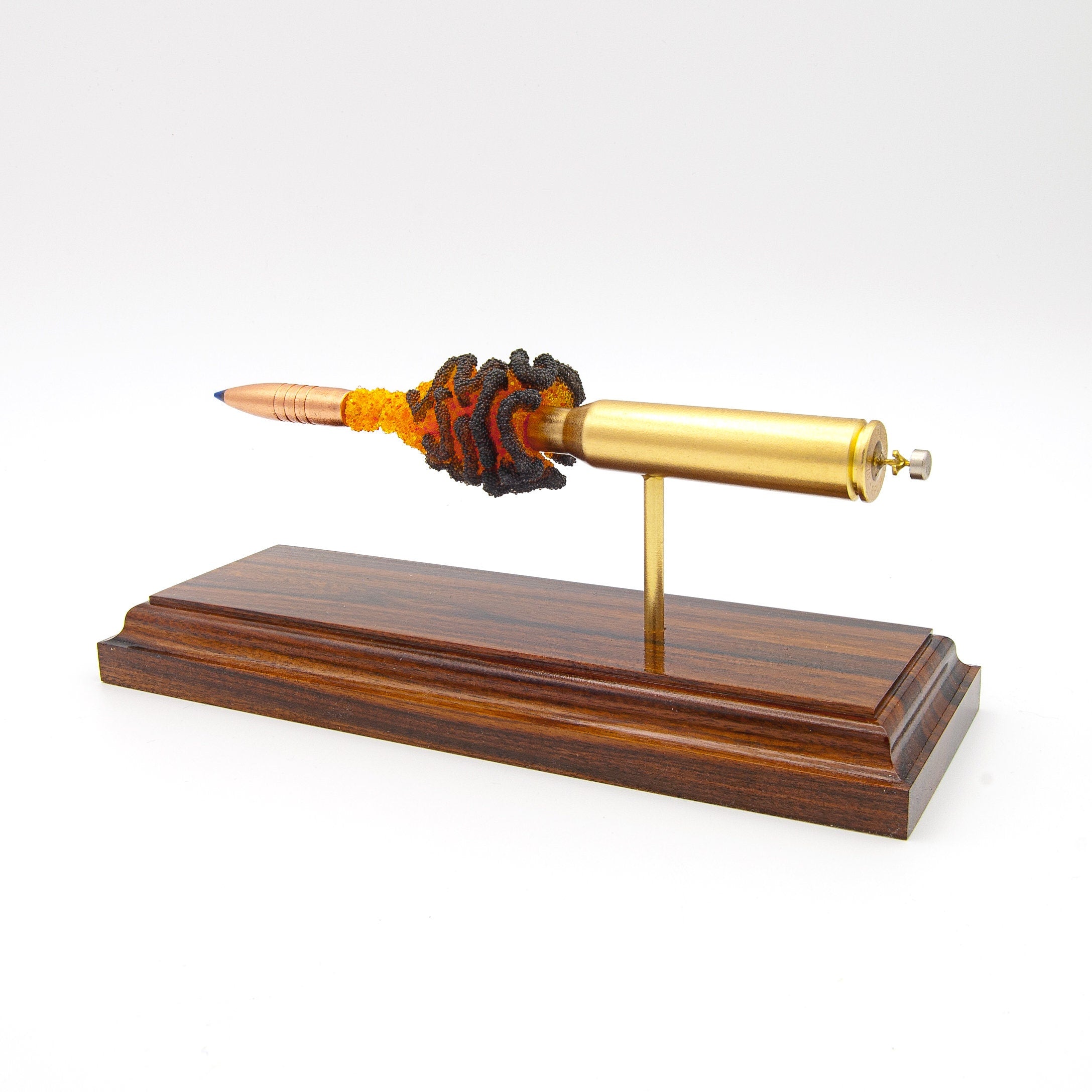 long range cartridge anatomy display on hardwood base