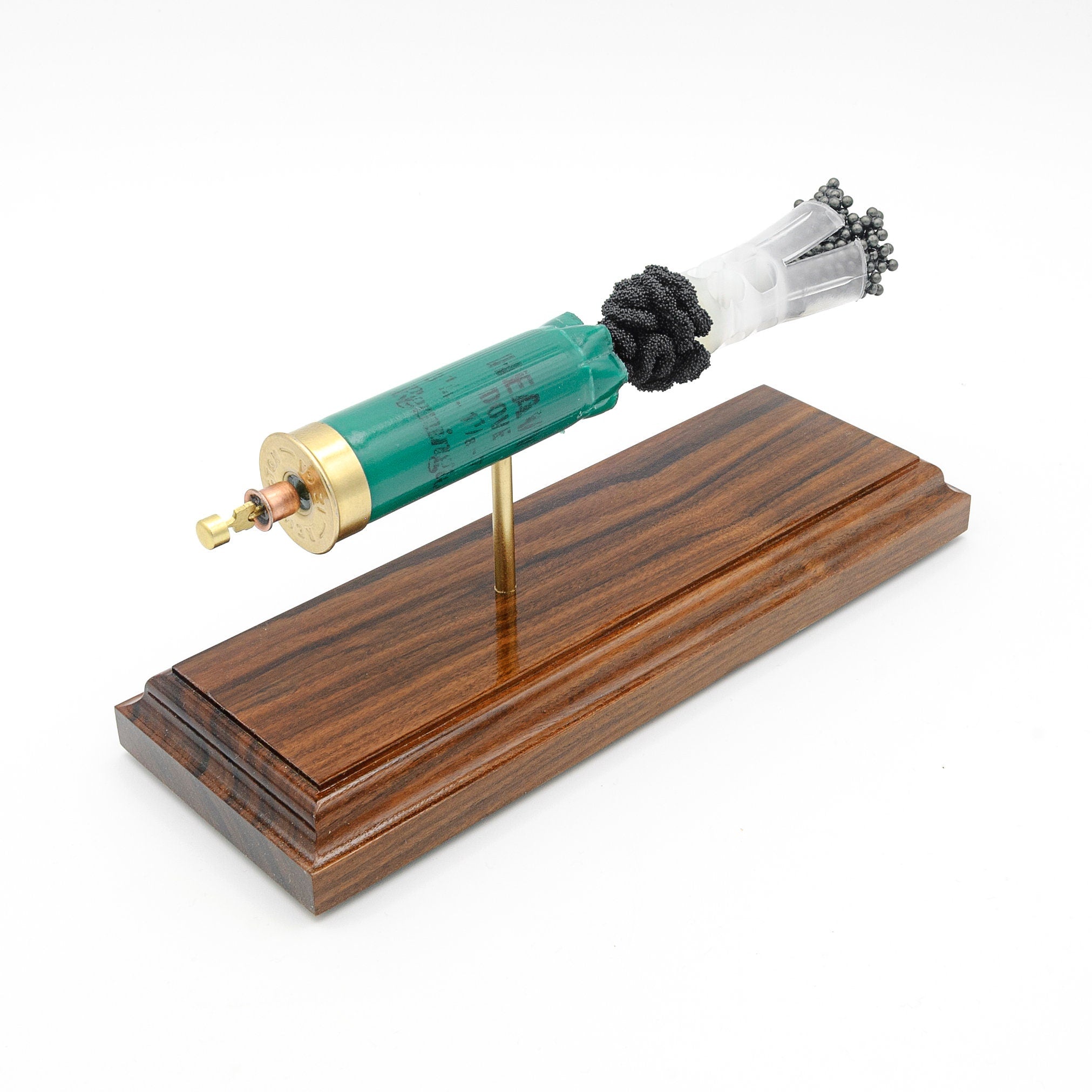 shotgun birdshot cartridge anatomy display model