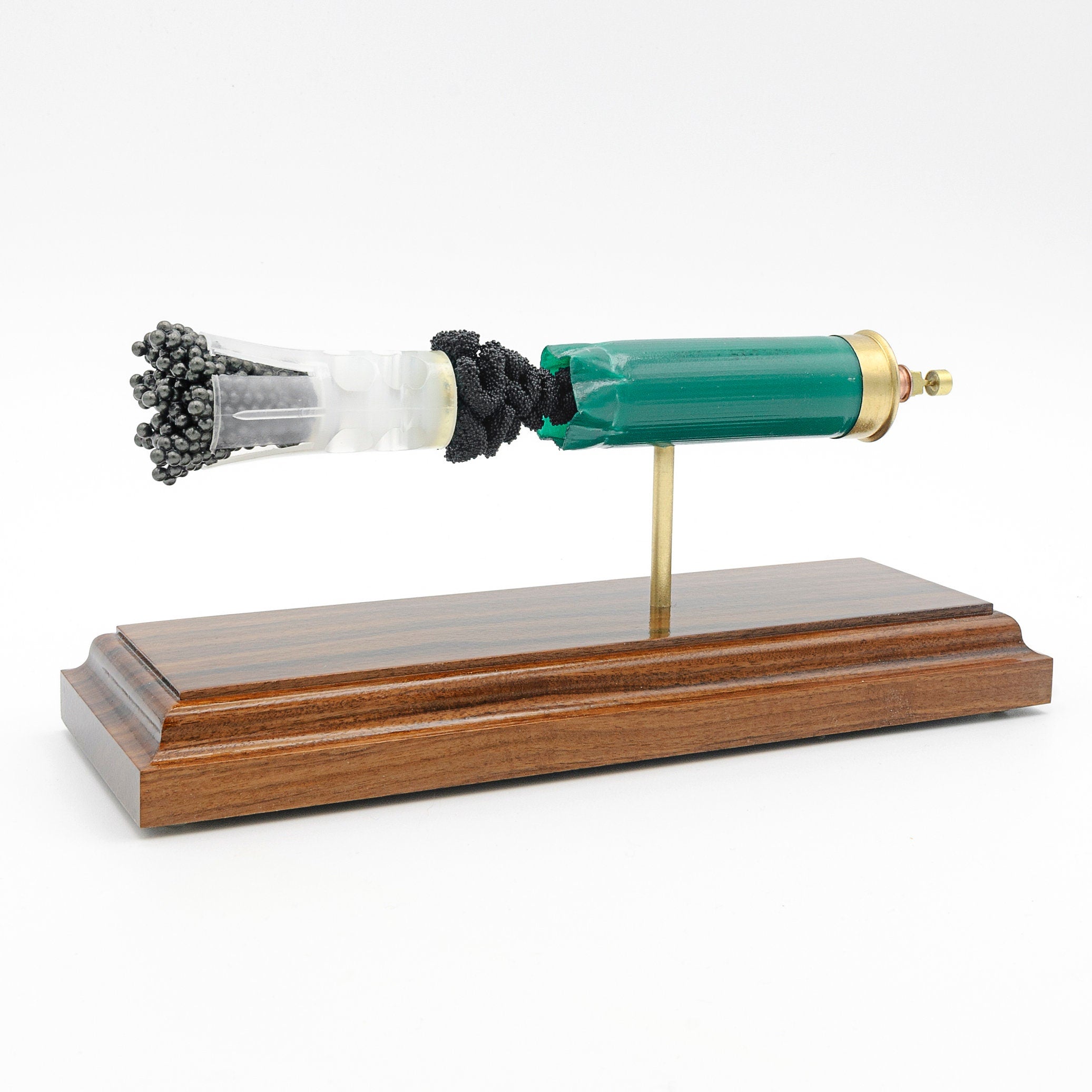 expanded 12ga shotshell showing primer wad and shot