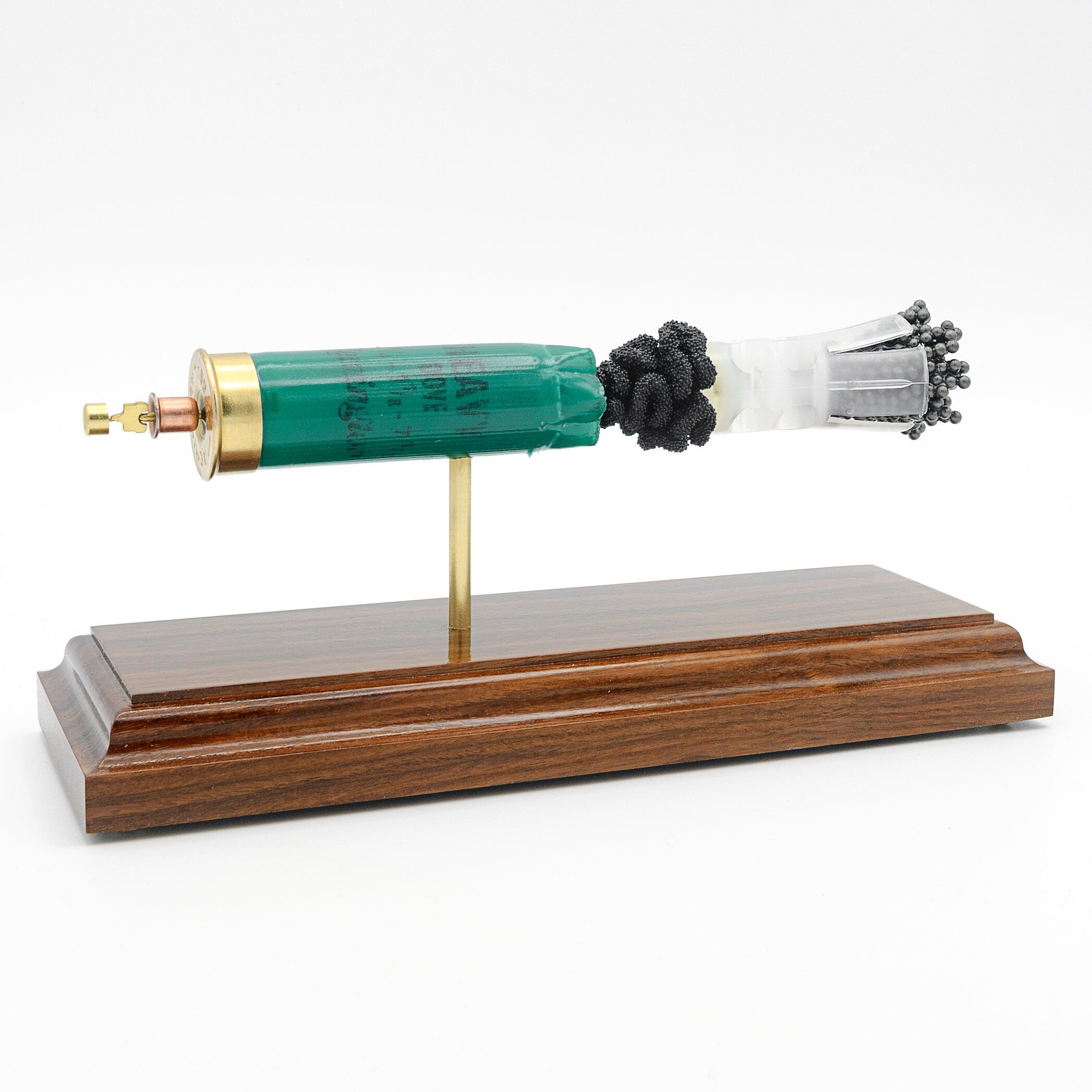 inert 12ga birdshot shotshell anatomy model