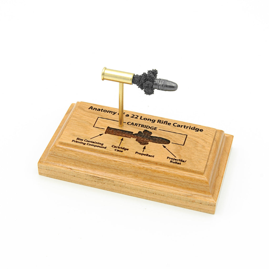 Engraved anatomy 22LR cartridge display on hardwood base