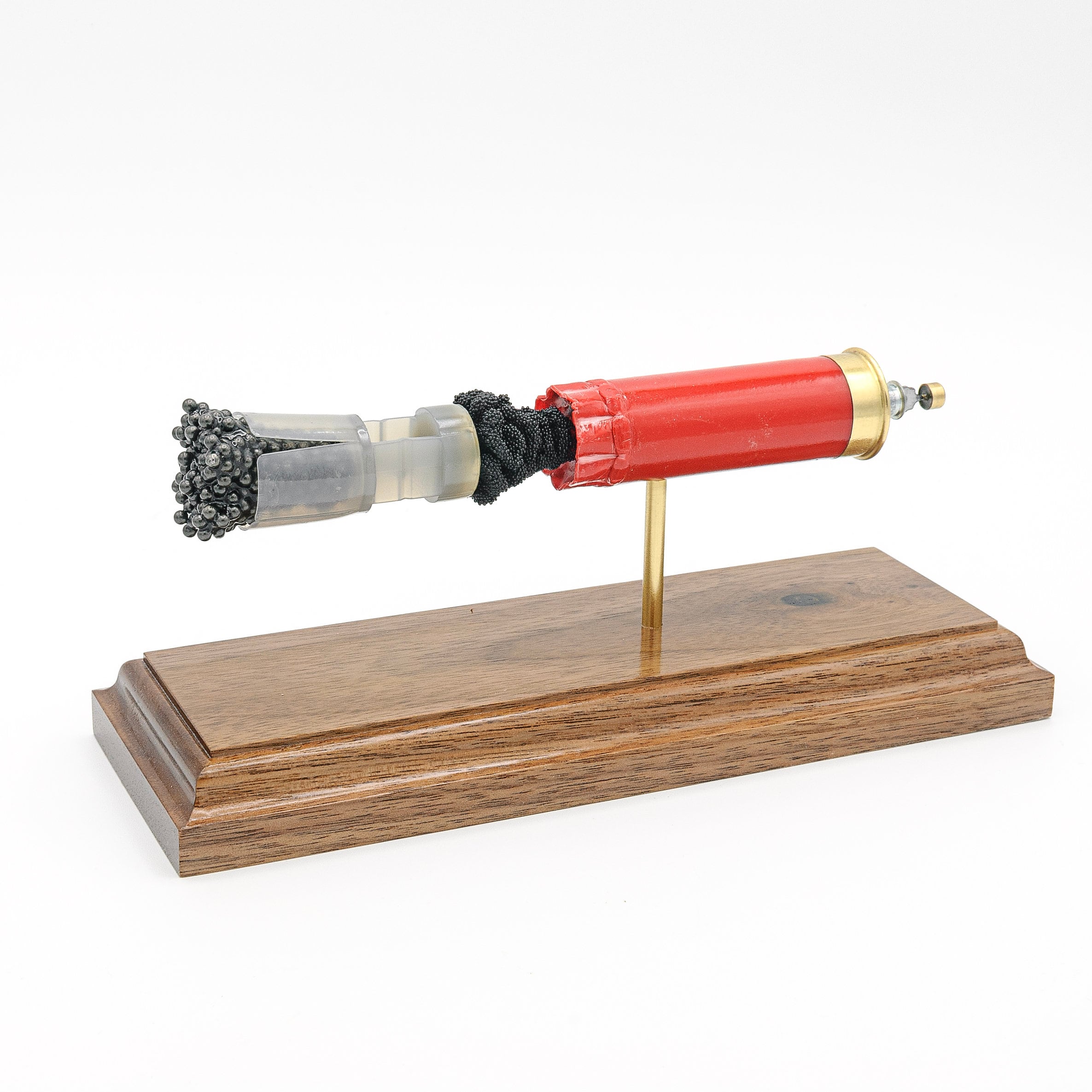 Inert 12 gauge Winchester AA shotshell anatomy model