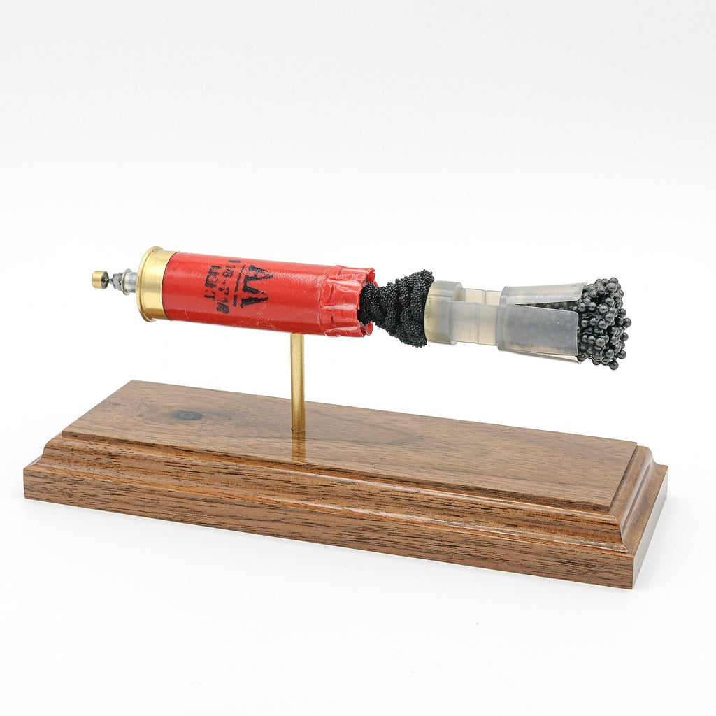 Expanded 12 gauge Winchester AA shotshell display on walnut wood base
