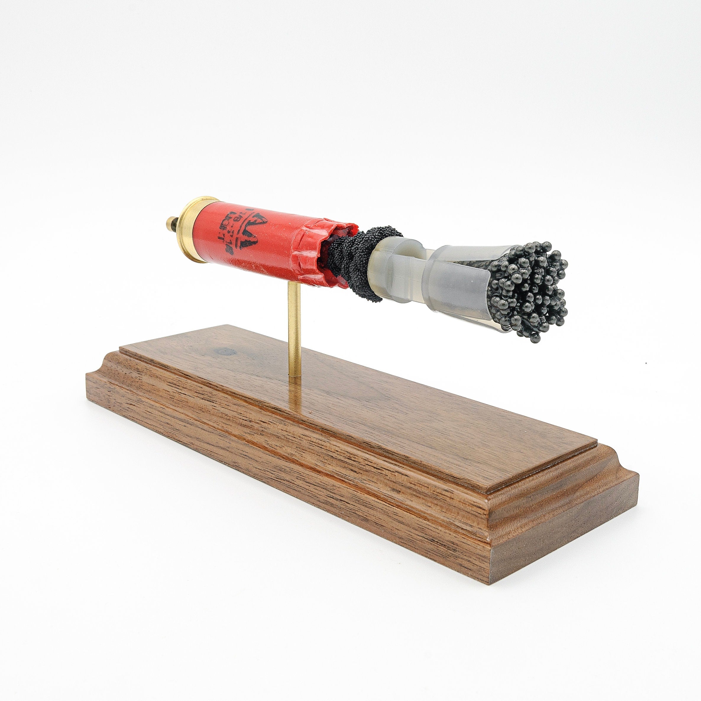 Handmade 12GA sporting shotshell display for reference and education