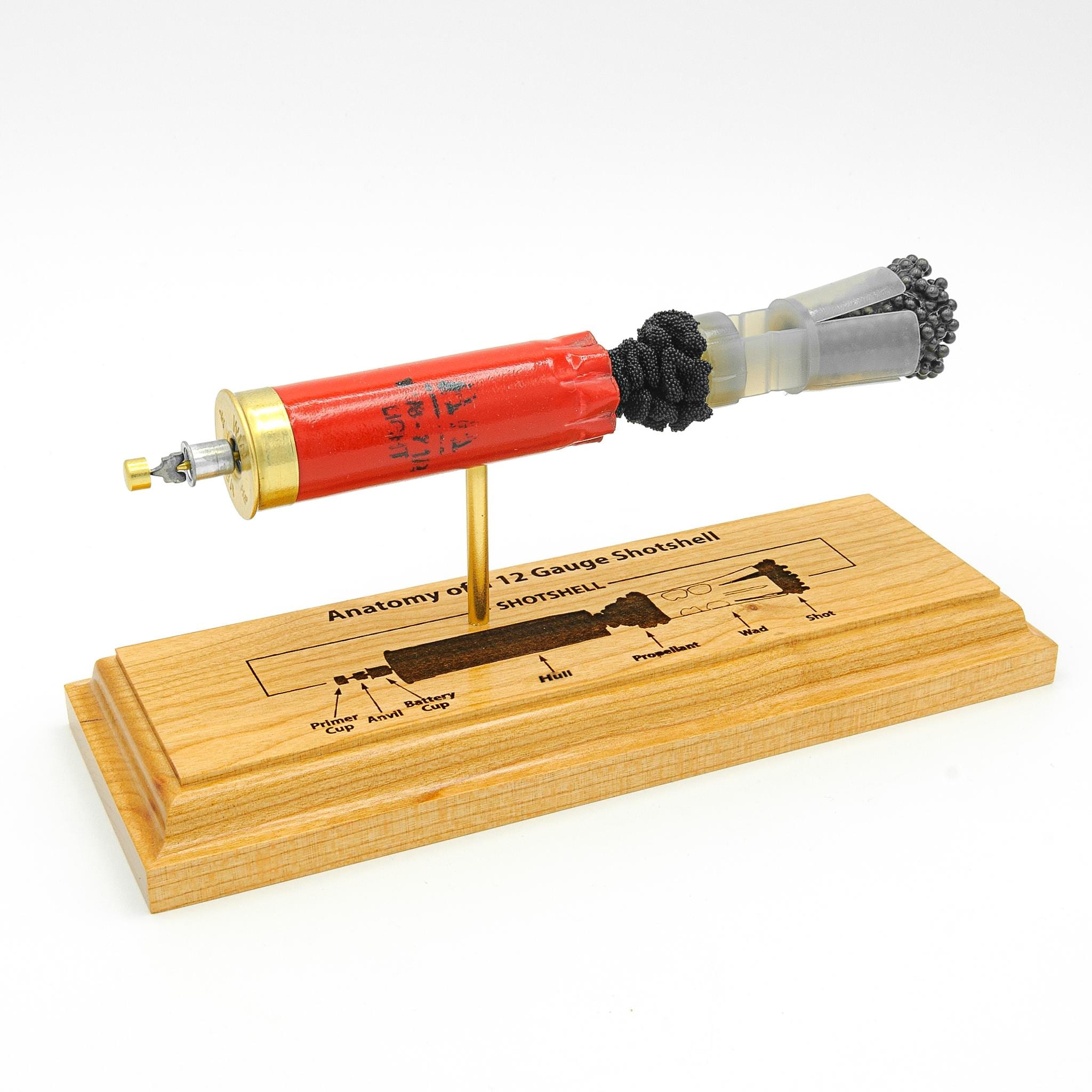 Winchester AA 12 gauge cutaway shotshell educational display