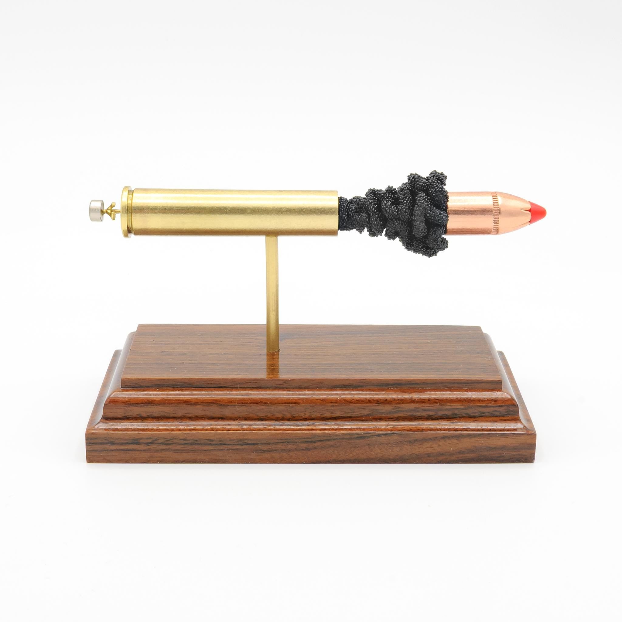 Sectioned 444 Marlin rifle cartridge showing primer case powder and FTX bullet aligned horizontally