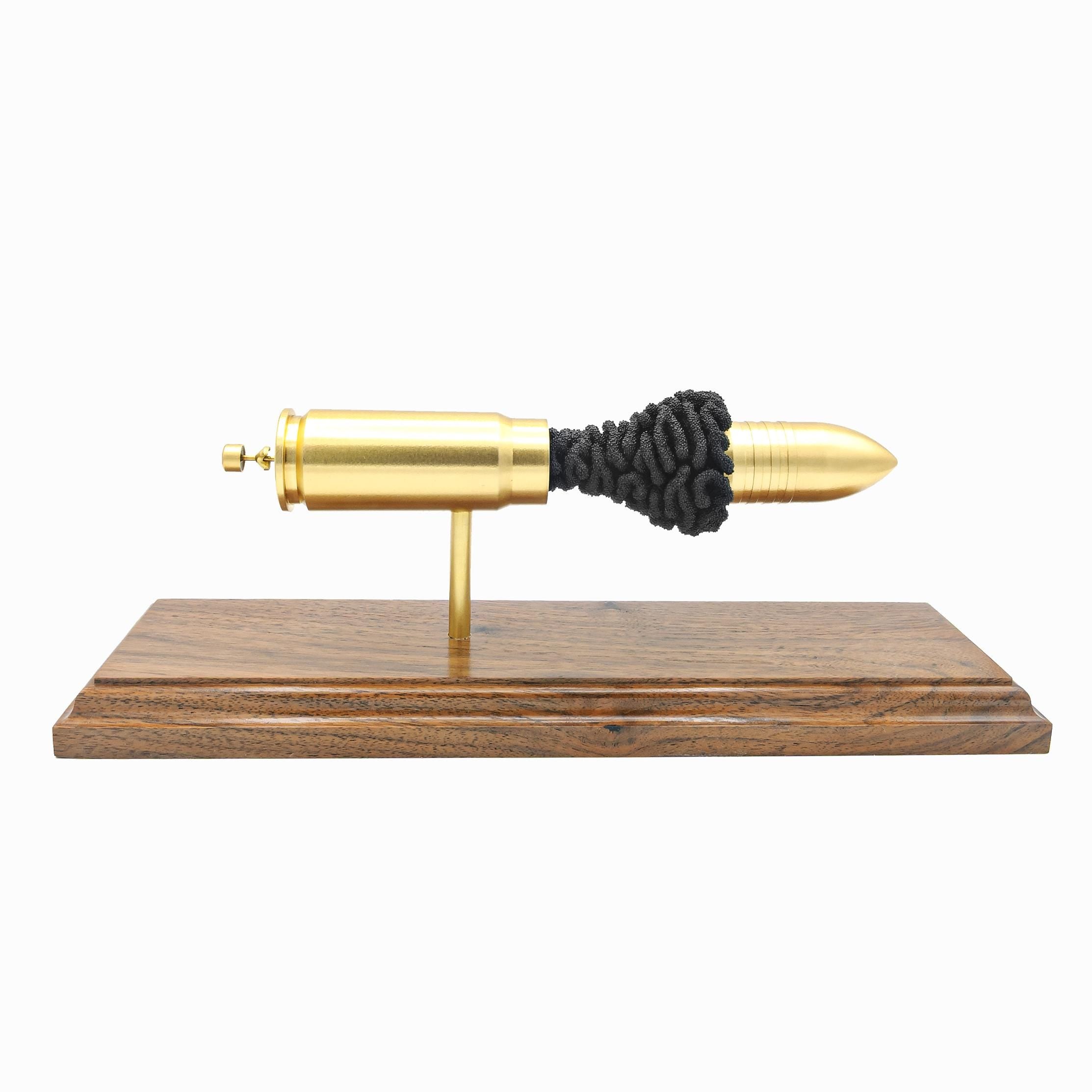 large rifle cartridge display for collectors